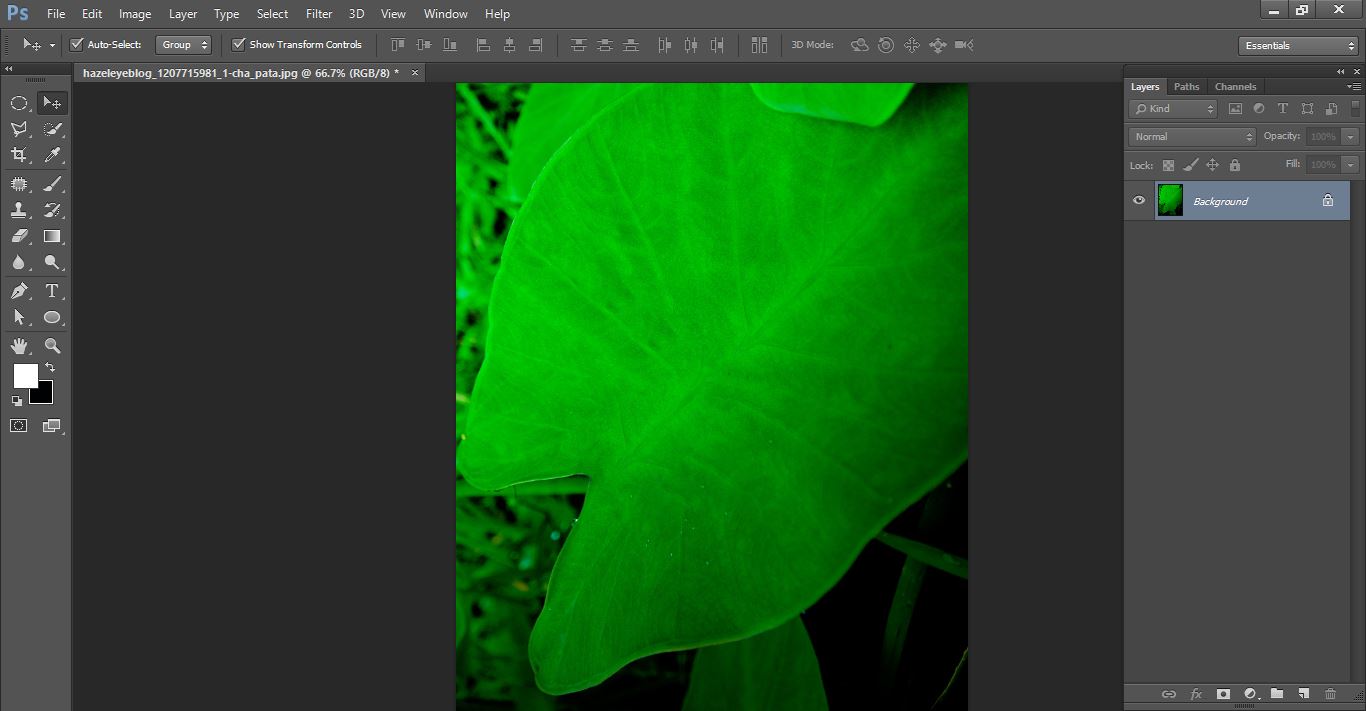 HOW TO MAKE WATER DROPS IN PHOTOSHOP