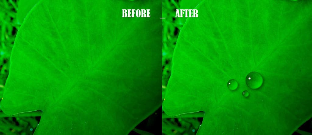 HOW TO MAKE WATER DROPS IN PHOTOSHOP