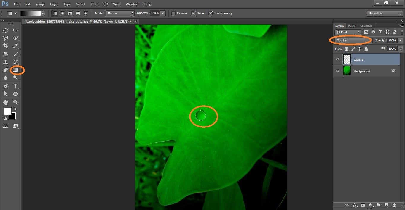 HOW TO MAKE WATER DROPS IN PHOTOSHOP