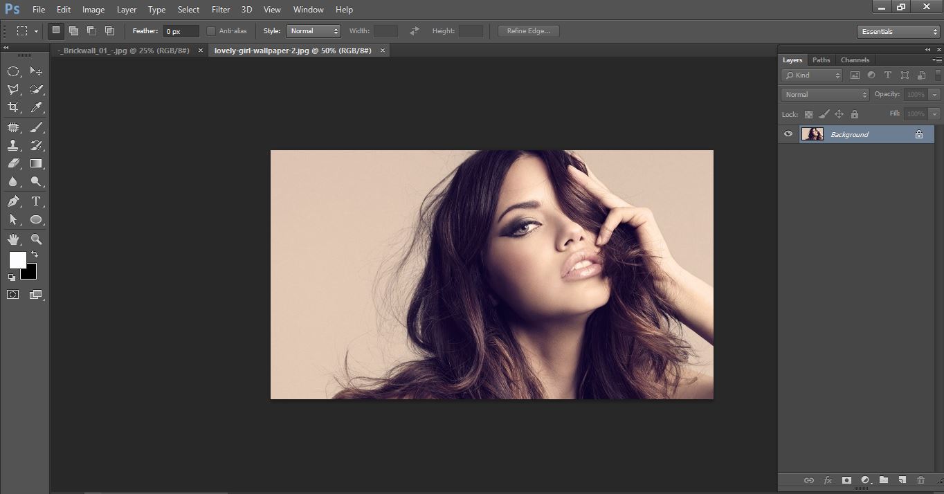 How to create Transform a Photo into a Brick Wall Portrait tin Photoshop 
