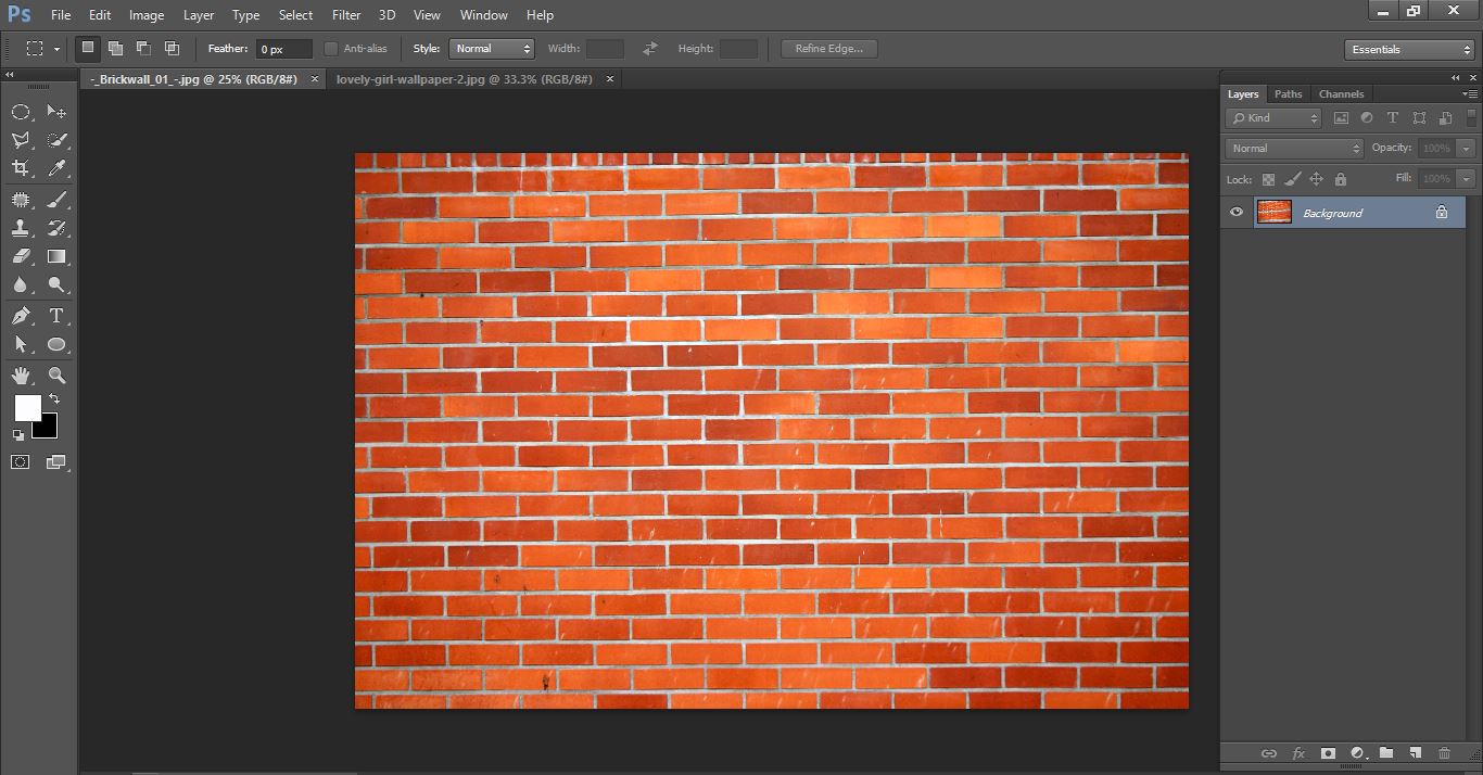 How to create Transform a Photo into a Brick Wall Portrait tin Photoshop 