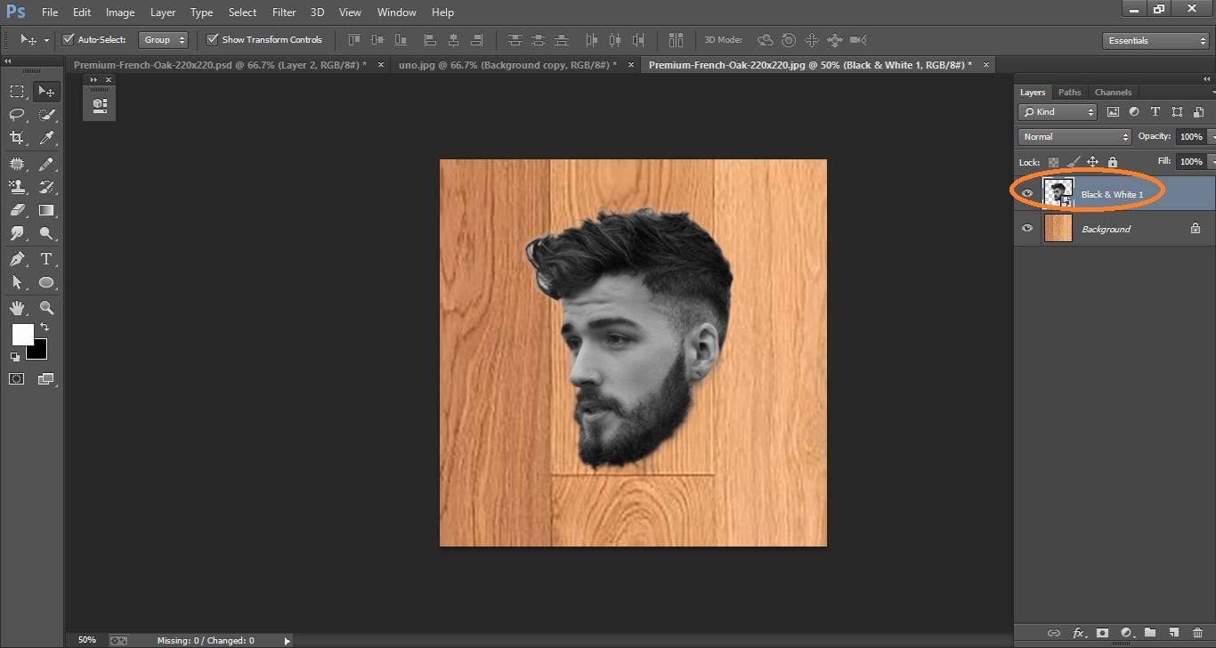 How to create Quickly Transform a Photo into a Woodcut- in Photoshop manipulation