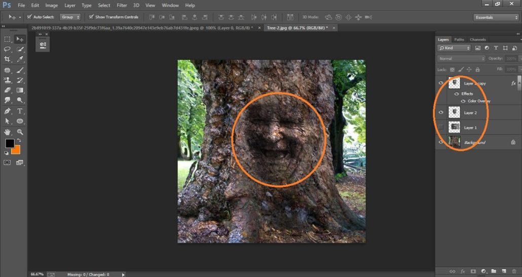 How to create Camouflage a Face onto Gnarly, TREE Bark - in Photoshop manipulation