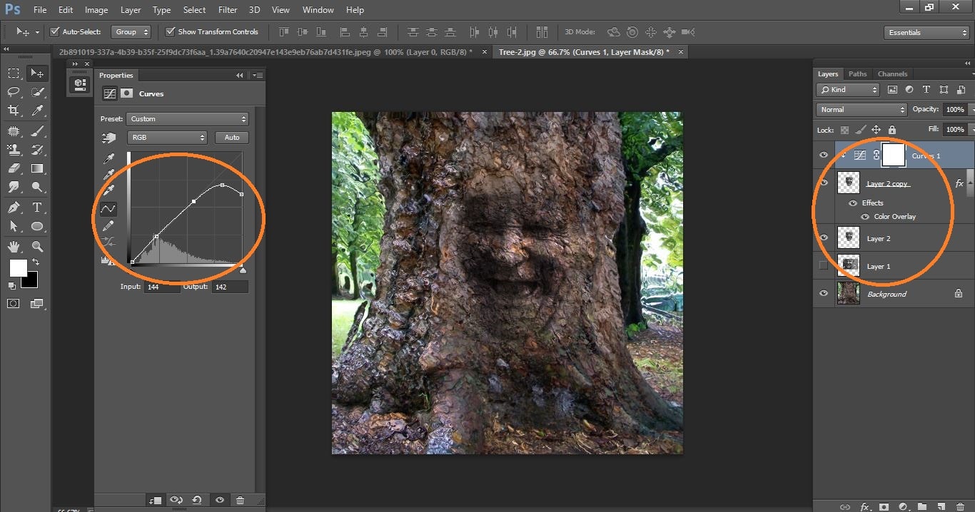 How to create Camouflage a Face onto Gnarly, TREE Bark - in Photoshop manipulation