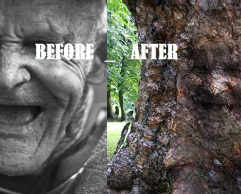 How to create Camouflage a Face onto Gnarly, TREE Bark - in Photoshop manipulation