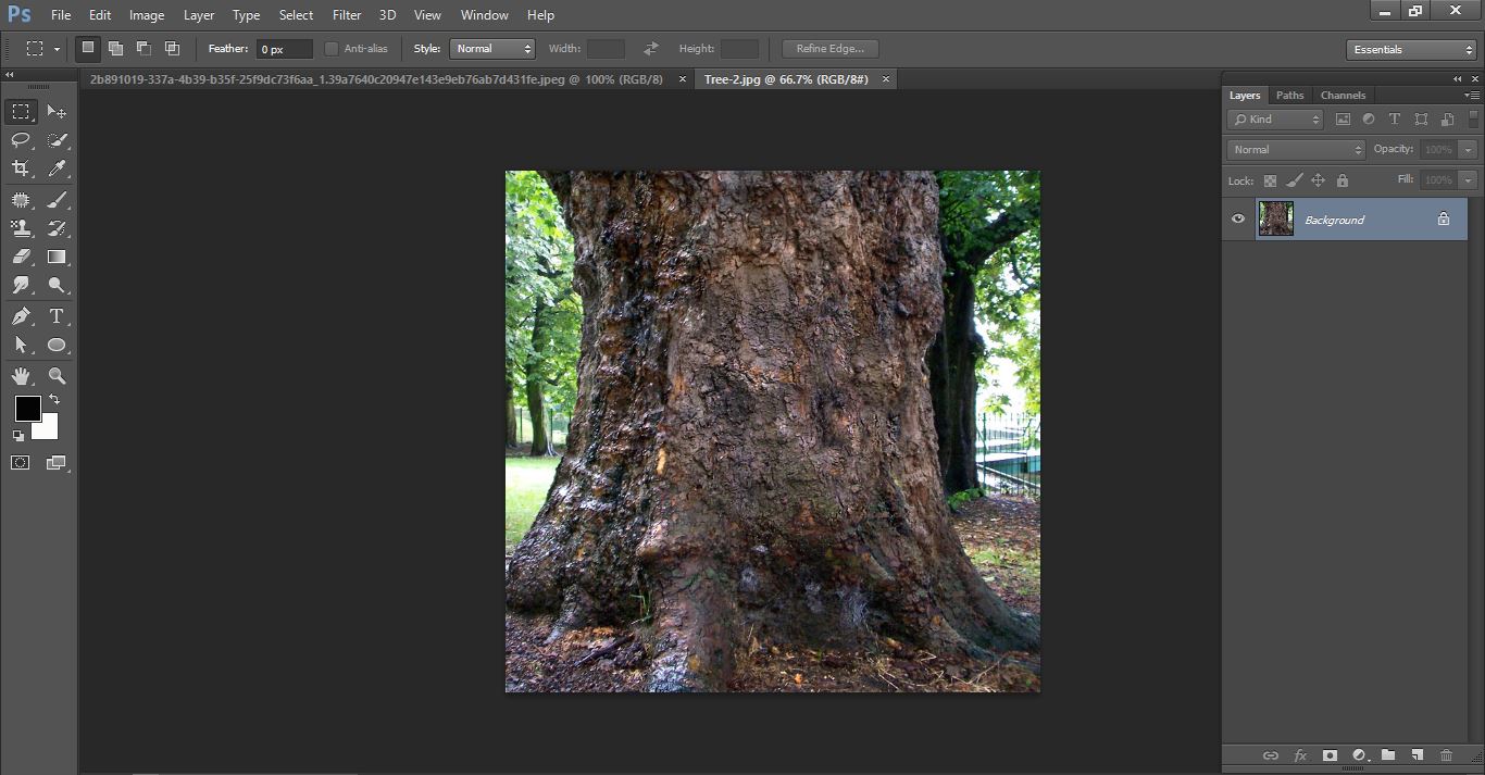 How to create Camouflage a Face onto Gnarly, TREE Bark - in Photoshop manipulation