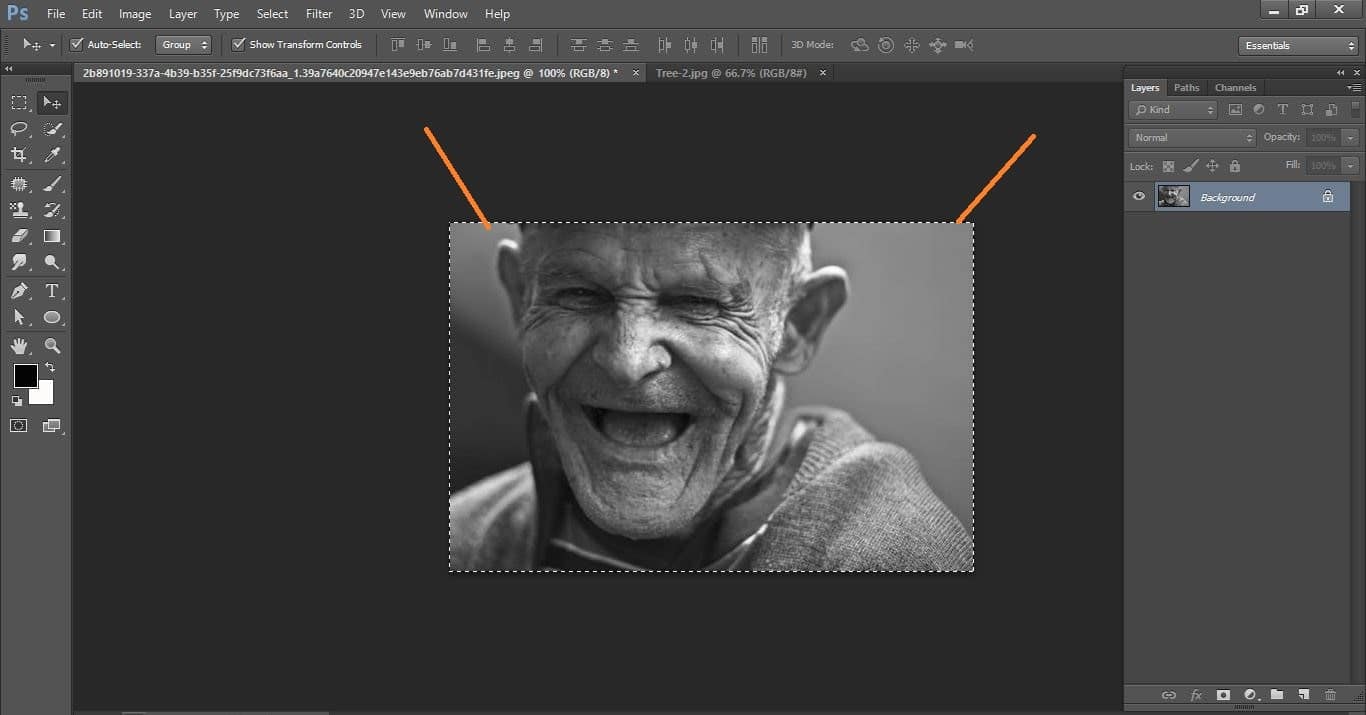 How to create Camouflage a Face onto Gnarly, TREE Bark - in Photoshop manipulation