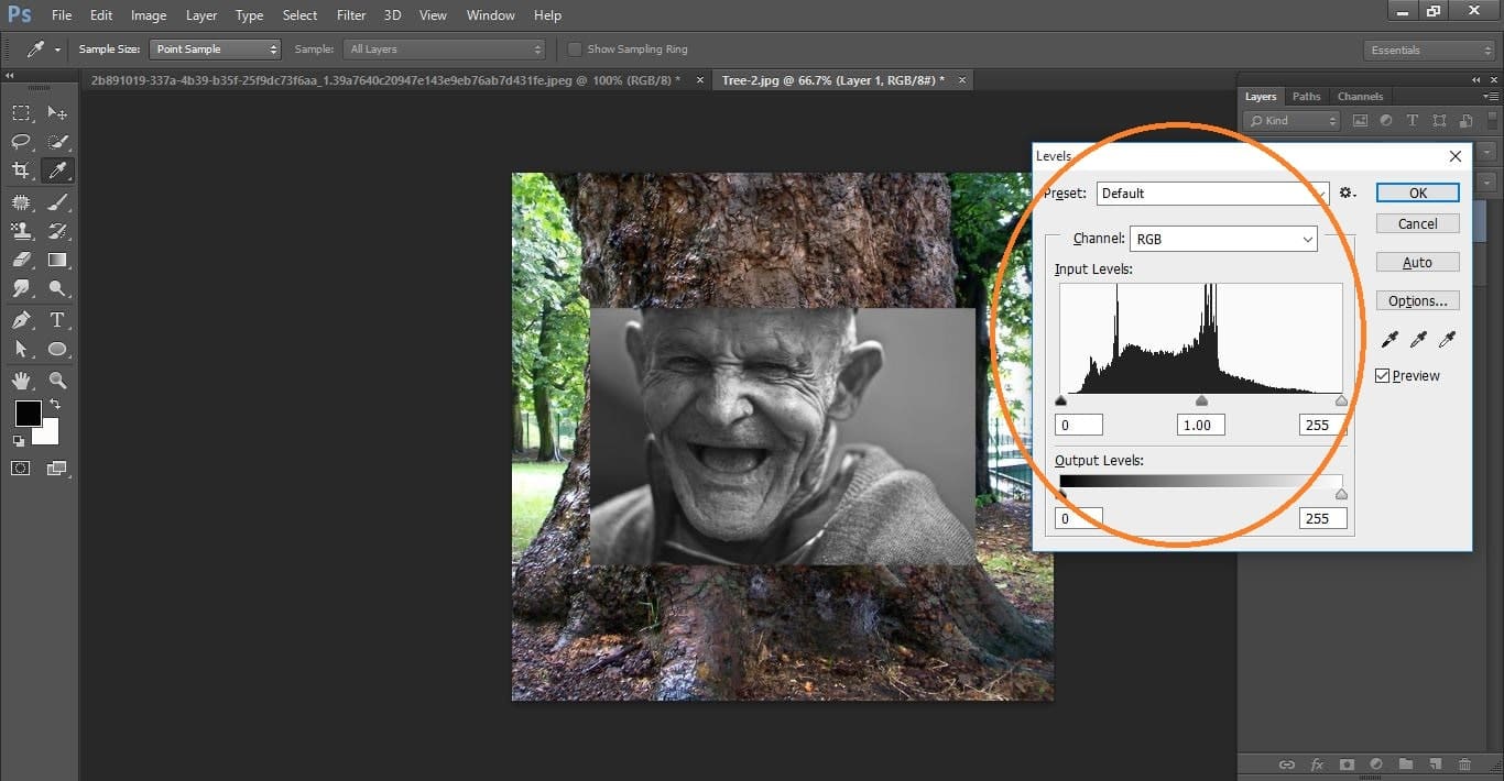 How to create Camouflage a Face onto Gnarly, TREE Bark - in Photoshop manipulation