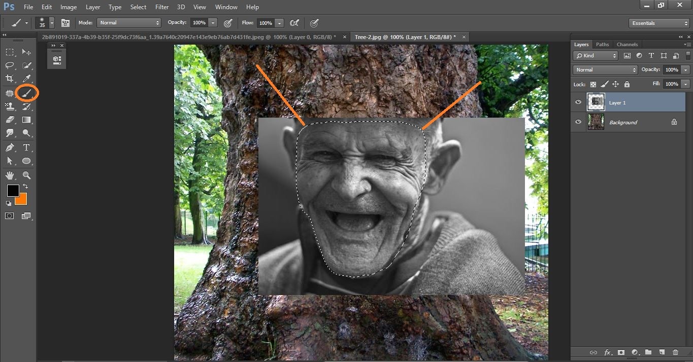 How to create Camouflage a Face onto Gnarly, TREE Bark - in Photoshop manipulation