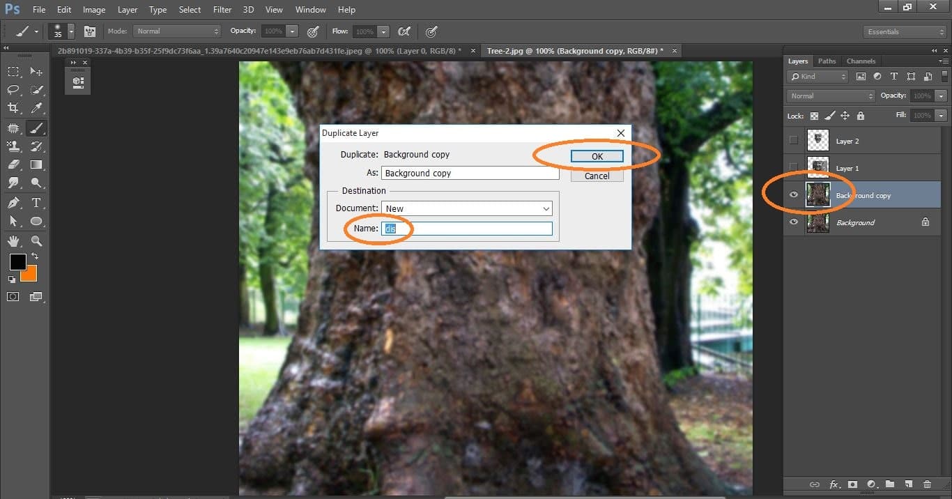 How to create Camouflage a Face onto Gnarly, TREE Bark - in Photoshop manipulation