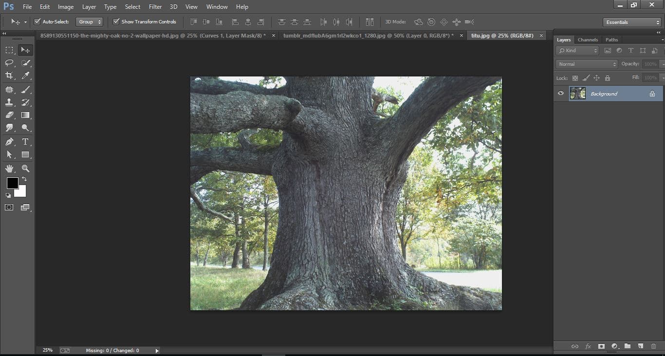 Photoshop cc manipulation