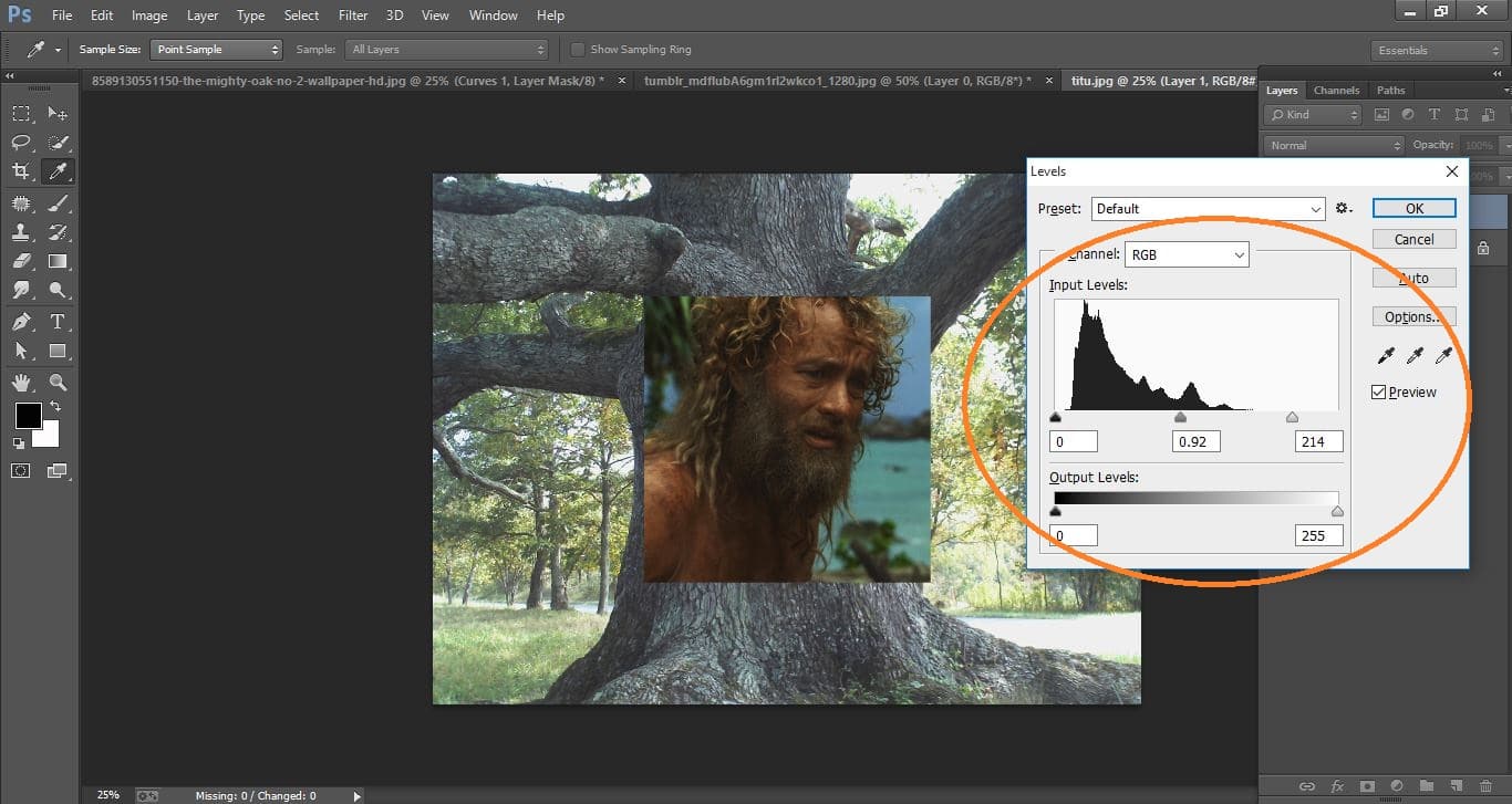 Photoshop cc manipulation