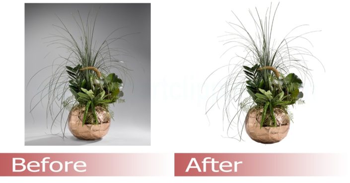 Clipping path service, Clipping path service provider, Clipping path services, Clipping path Service Company, Remove background from image, Image editing company, Photo editing company, Photo editing services, Photo retouching services