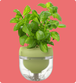 Clipping path services, Clipping path Service Company, Remove background from imag