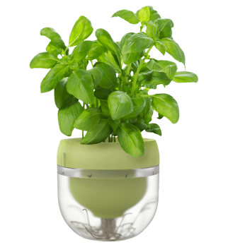 Clipping path services, Clipping path Service Company, Remove background from imag