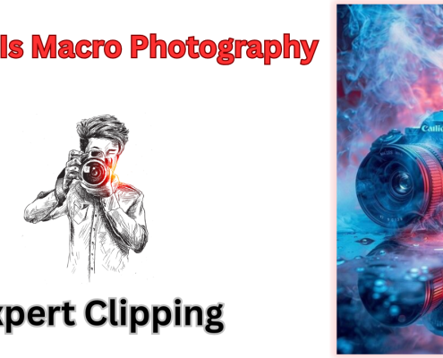 What Is Macro Photography